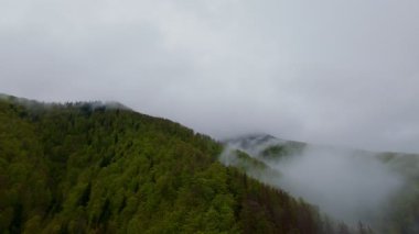 Bereketli ormanlarla kaplı sisli yeşil dağların havadan görünüşü bulutlu bir gökyüzünün altında sürüklenen sis seyahat, macera ve doğa turizmi için mükemmel doğal bir manzara yaratıyor..