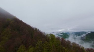Bereketli ormanlarla kaplı sisli yeşil dağların havadan görünüşü bulutlu bir gökyüzünün altında sürüklenen sis seyahat, macera ve doğa turizmi için mükemmel doğal bir manzara yaratıyor..