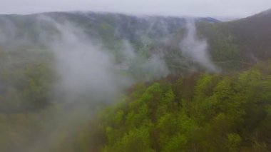 Bereketli ormanlarla kaplı sisli yeşil dağların havadan görünüşü bulutlu bir gökyüzünün altında sürüklenen sis seyahat, macera ve doğa turizmi için mükemmel doğal bir manzara yaratıyor..
