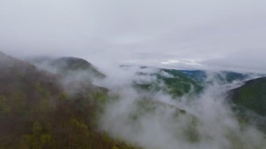 Bereketli ormanlarla kaplı sisli yeşil dağların havadan görünüşü bulutlu bir gökyüzünün altında sürüklenen sis seyahat, macera ve doğa turizmi için mükemmel doğal bir manzara yaratıyor..