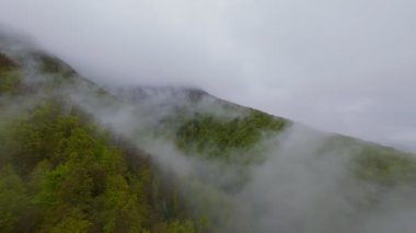 Bereketli ormanlarla kaplı sisli yeşil dağların havadan görünüşü bulutlu bir gökyüzünün altında sürüklenen sis seyahat, macera ve doğa turizmi için mükemmel doğal bir manzara yaratıyor..