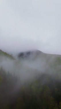 Sisli yeşil dağların dikey görüntüsü yemyeşil ormanlarla kaplı, sis bulutlu bir gökyüzünün altında dağlarda sürükleniyor, seyahat, macera ve harika doğal bir manzara yaratıyor.