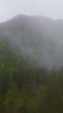 Sisli yeşil dağların dikey görüntüsü yemyeşil ormanlarla kaplı, sis bulutlu bir gökyüzünün altında dağlarda sürükleniyor, seyahat, macera ve harika doğal bir manzara yaratıyor.