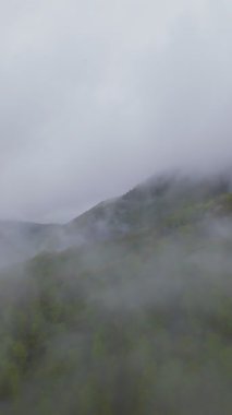 Sisli yeşil dağların dikey görüntüsü yemyeşil ormanlarla kaplı, sis bulutlu bir gökyüzünün altında dağlarda sürükleniyor, seyahat, macera ve harika doğal bir manzara yaratıyor.