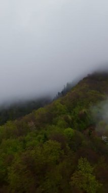 Sisli yeşil dağların dikey görüntüsü yemyeşil ormanlarla kaplı, sis bulutlu bir gökyüzünün altında dağlarda sürükleniyor, seyahat, macera ve harika doğal bir manzara yaratıyor.