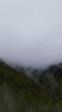 Sisli yeşil dağların dikey görüntüsü yemyeşil ormanlarla kaplı, sis bulutlu bir gökyüzünün altında dağlarda sürükleniyor, seyahat, macera ve harika doğal bir manzara yaratıyor.