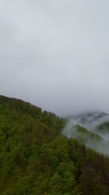 Sisli yeşil dağların dikey görüntüsü yemyeşil ormanlarla kaplı, sis bulutlu bir gökyüzünün altında dağlarda sürükleniyor, seyahat, macera ve harika doğal bir manzara yaratıyor.