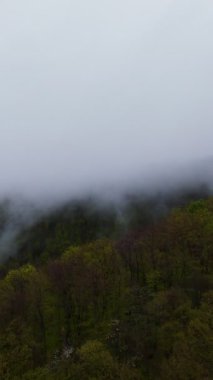Sisli yeşil dağların dikey görüntüsü yemyeşil ormanlarla kaplı, sis bulutlu bir gökyüzünün altında dağlarda sürükleniyor, seyahat, macera ve harika doğal bir manzara yaratıyor.
