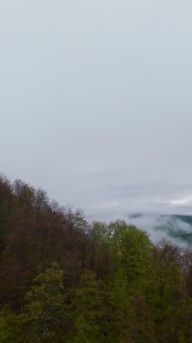 Sisli yeşil dağların dikey görüntüsü yemyeşil ormanlarla kaplı, sis bulutlu bir gökyüzünün altında dağlarda sürükleniyor, seyahat, macera ve harika doğal bir manzara yaratıyor.