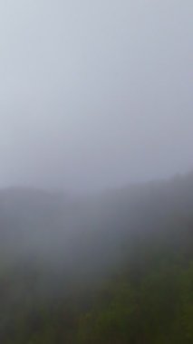 Sisli yeşil dağların dikey görüntüsü yemyeşil ormanlarla kaplı, sis bulutlu bir gökyüzünün altında dağlarda sürükleniyor, seyahat, macera ve harika doğal bir manzara yaratıyor.