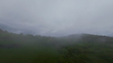 Bereketli yeşil orman dağlarının hava manzarası sisli ve alçak asılı bulutların altında kasvetli bir bulutun altında sakin ve gizemli bir doğal manzara yaratıyor..