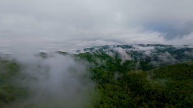 Bereketli yeşil orman dağlarının hava manzarası sisli ve alçak asılı bulutların altında kasvetli bir bulutun altında sakin ve gizemli bir doğal manzara yaratıyor..