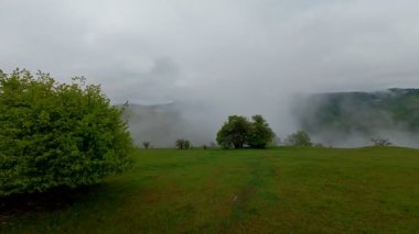 Bereketli yeşil orman dağlarının hava manzarası sisli ve alçak asılı bulutların altında kasvetli bir bulutun altında sakin ve gizemli bir doğal manzara yaratıyor..