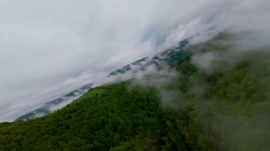 Bereketli yeşil orman dağlarının hava manzarası sisli ve alçak asılı bulutların altında kasvetli bir bulutun altında sakin ve gizemli bir doğal manzara yaratıyor..