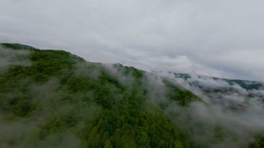 Bereketli yeşil orman dağlarının hava manzarası sisli ve alçak asılı bulutların altında kasvetli bir bulutun altında sakin ve gizemli bir doğal manzara yaratıyor..