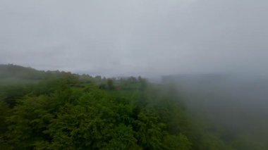 Bereketli yeşil orman dağlarının hava manzarası sisli ve alçak asılı bulutların altında kasvetli bir bulutun altında sakin ve gizemli bir doğal manzara yaratıyor..