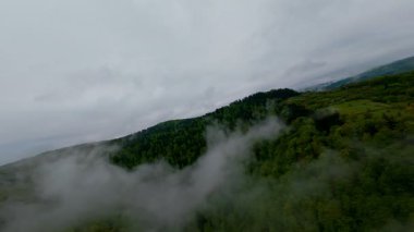 Bereketli yeşil orman dağlarının hava manzarası sisli ve alçak asılı bulutların altında kasvetli bir bulutun altında sakin ve gizemli bir doğal manzara yaratıyor..
