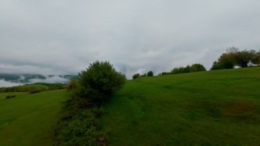 Bereketli yeşil orman dağlarının hava manzarası sisli ve alçak asılı bulutların altında kasvetli bir bulutun altında sakin ve gizemli bir doğal manzara yaratıyor..