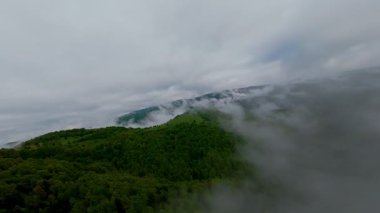 Bereketli yeşil orman dağlarının hava manzarası sisli ve alçak asılı bulutların altında kasvetli bir bulutun altında sakin ve gizemli bir doğal manzara yaratıyor..