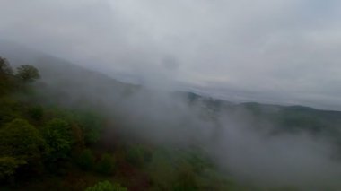Bereketli yeşil orman dağlarının hava manzarası sisli ve alçak asılı bulutların altında kasvetli bir bulutun altında sakin ve gizemli bir doğal manzara yaratıyor..