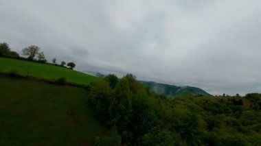 Bereketli yeşil orman dağlarının hava manzarası sisli ve alçak asılı bulutların altında kasvetli bir bulutun altında sakin ve gizemli bir doğal manzara yaratıyor..