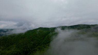 Bereketli yeşil orman dağlarının hava manzarası sisli ve alçak asılı bulutların altında kasvetli bir bulutun altında sakin ve gizemli bir doğal manzara yaratıyor..