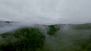 Bereketli yeşil orman dağlarının hava manzarası sisli ve alçak asılı bulutların altında kasvetli bir bulutun altında sakin ve gizemli bir doğal manzara yaratıyor..