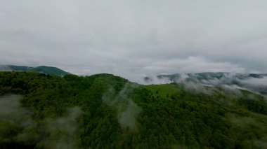 Bereketli yeşil orman dağlarının hava manzarası sisli ve alçak asılı bulutların altında kasvetli bir bulutun altında sakin ve gizemli bir doğal manzara yaratıyor..