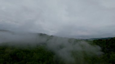 Bereketli yeşil orman dağlarının hava manzarası sisli ve alçak asılı bulutların altında kasvetli bir bulutun altında sakin ve gizemli bir doğal manzara yaratıyor..