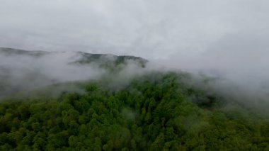 Bereketli yeşil orman dağlarının hava manzarası sisli ve alçak asılı bulutların altında kasvetli bir bulutun altında sakin ve gizemli bir doğal manzara yaratıyor..