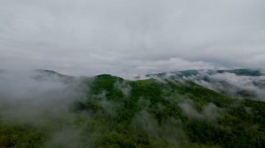 Bereketli yeşil orman dağlarının hava manzarası sisli ve alçak asılı bulutların altında kasvetli bir bulutun altında sakin ve gizemli bir doğal manzara yaratıyor..