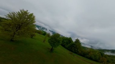 Bereketli yeşil orman dağlarının hava manzarası sisli ve alçak asılı bulutların altında kasvetli bir bulutun altında sakin ve gizemli bir doğal manzara yaratıyor..