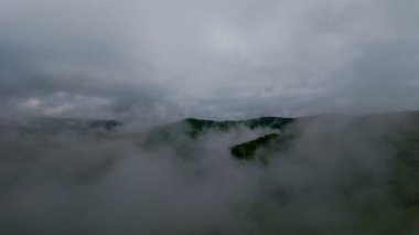 Bereketli yeşil orman dağlarının hava manzarası sisli ve alçak asılı bulutların altında kasvetli bir bulutun altında sakin ve gizemli bir doğal manzara yaratıyor..