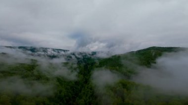 Bereketli yeşil orman dağlarının hava manzarası sisli ve alçak asılı bulutların altında kasvetli bir bulutun altında sakin ve gizemli bir doğal manzara yaratıyor..