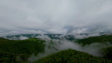 Bereketli yeşil orman dağlarının hava manzarası sisli ve alçak asılı bulutların altında kasvetli bir bulutun altında sakin ve gizemli bir doğal manzara yaratıyor..