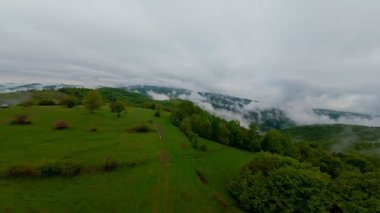 Bereketli yeşil orman dağlarının hava manzarası sisli ve alçak asılı bulutların altında kasvetli bir bulutun altında sakin ve gizemli bir doğal manzara yaratıyor..