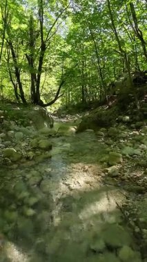 Dik, yıpranmış uçurum duvarlarıyla çevrili sığ bir akıntıyla dar kayalık kanyon dramatik, güneşli bir manzarada doğal erozyon ve macera yakalıyor. Dikey hava fpv