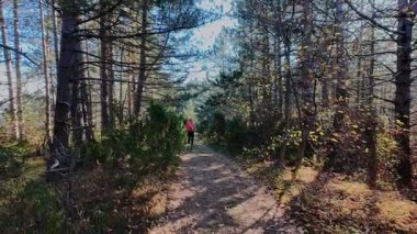 Dağlardaki bir sonbahar ormanında koşan dişi bir koşucunun gizli bir fotoğrafı. Sabah sporları aktif yaşam tarzı, uygunluk, dayanıklılık ve doğa odaklı eğitim maratonunu gözler önüne seriyor