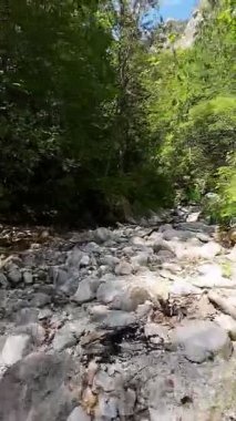 Dik, yıpranmış uçurum duvarlarıyla çevrili sığ bir akıntıyla dar kayalık kanyon dramatik, güneşli bir manzarada doğal erozyon ve macera yakalıyor. Dikey hava fpv