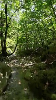 Dik, yıpranmış uçurum duvarlarıyla çevrili sığ bir akıntıyla dar kayalık kanyon dramatik, güneşli bir manzarada doğal erozyon ve macera yakalıyor. Dikey hava fpv