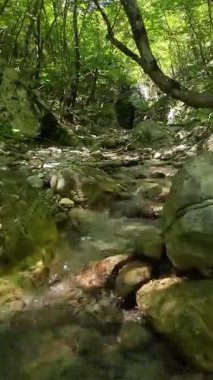 Dik, yıpranmış uçurum duvarlarıyla çevrili sığ bir akıntıyla dar kayalık kanyon dramatik, güneşli bir manzarada doğal erozyon ve macera yakalıyor. Dikey hava fpv