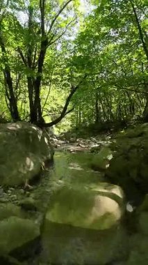 Dik, yıpranmış uçurum duvarlarıyla çevrili sığ bir akıntıyla dar kayalık kanyon dramatik, güneşli bir manzarada doğal erozyon ve macera yakalıyor. Dikey hava fpv