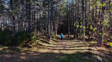 Ağaçlar ve güneş ışığıyla çevrili, manzaralı bir orman yolunda koşan bir adamın FPV görüntüsü. Açık hava fitness, sağlıklı yaşam tarzı, ve dayanıklılık ve motivasyon için atletik eğitim