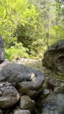 Dik, yıpranmış uçurum duvarlarıyla çevrili sığ bir akıntıyla dar kayalık kanyon dramatik, güneşli bir manzarada doğal erozyon ve macera yakalıyor. Dikey hava fpv
