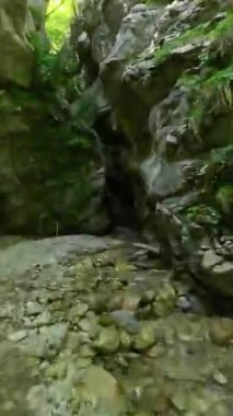 Dik, yıpranmış uçurum duvarlarıyla çevrili sığ bir akıntıyla dar kayalık kanyon dramatik, güneşli bir manzarada doğal erozyon ve macera yakalıyor. Dikey hava fpv