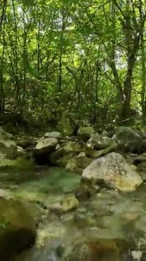 Dik, yıpranmış uçurum duvarlarıyla çevrili sığ bir akıntıyla dar kayalık kanyon dramatik, güneşli bir manzarada doğal erozyon ve macera yakalıyor. Dikey hava fpv