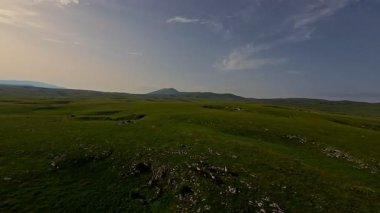Uçsuz bucaksız yeşil bir çayırda özgürce koşan bir at sürüsü. Parlak mavi bir gökyüzünün altında bulutlar doğayı, özgürlüğü ve manzaralı kırsal alanda hareket etmeyi sergiliyor. Sinematik yavaş çekim havadan FPV