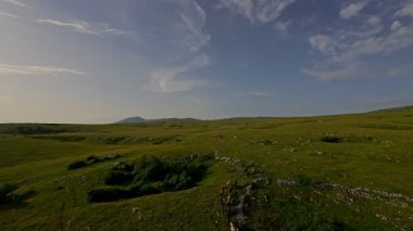 Uçsuz bucaksız yeşil bir çayırda özgürce koşan bir at sürüsü. Parlak mavi bir gökyüzünün altında bulutlar doğayı, özgürlüğü ve manzaralı kırsal alanda hareket etmeyi sergiliyor. Sinematik yavaş çekim havadan FPV