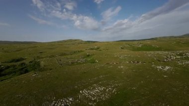 Uçsuz bucaksız yeşil bir çayırda özgürce koşan bir at sürüsü. Parlak mavi bir gökyüzünün altında bulutlar doğayı, özgürlüğü ve manzaralı kırsal alanda hareket etmeyi sergiliyor. Sinematik yavaş çekim havadan FPV