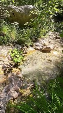 Dik, yıpranmış uçurum duvarlarıyla çevrili sığ bir akıntıyla dar kayalık kanyon dramatik, güneşli bir manzarada doğal erozyon ve macera yakalıyor. Dikey hava fpv